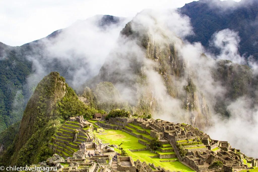 Крепость инков саксайуаман. Пикча 2. Альпака мачу пикчу. Мачу пикчу ламы. Мачу пикчу игрушка.