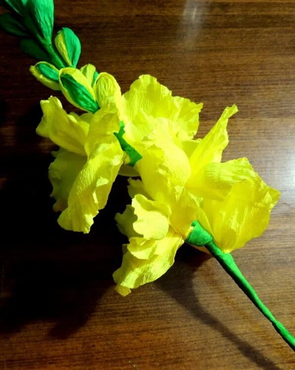 Букет гладиолусов 2022. Гладиолус цветок изгафрировоной бумаги. Панно с гладиолусами. Ростовые гладиолусы. Гладиолусы из конфет.