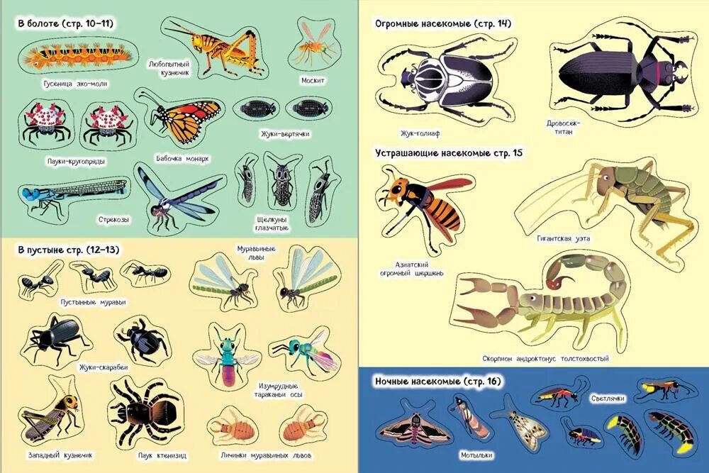 Насекомые названия. Насекомые список названий. Насекомые перечень для детей. Летающие насекомые и их названия.