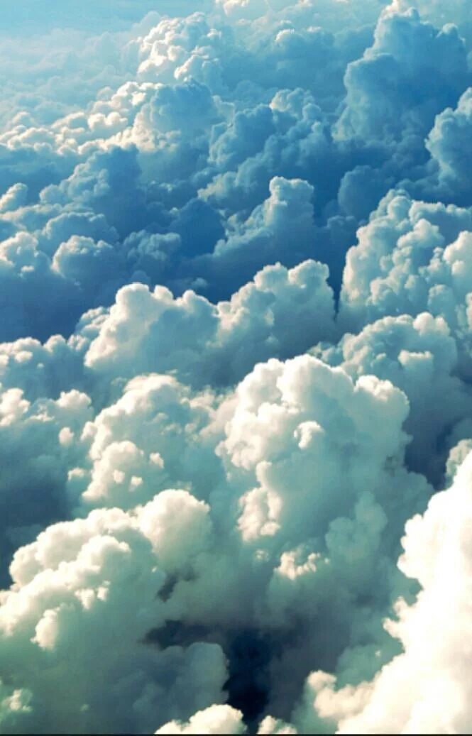 Tom and jerry jerry. Картинки ve. One direction 5. The end надпись. Зеленые концы.