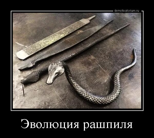 Возвращаюсь с работы рашпиль ставлю. Рашпиль прикол. рашпиль прикольные картинки. федька рашпиль. хлыст картинки.