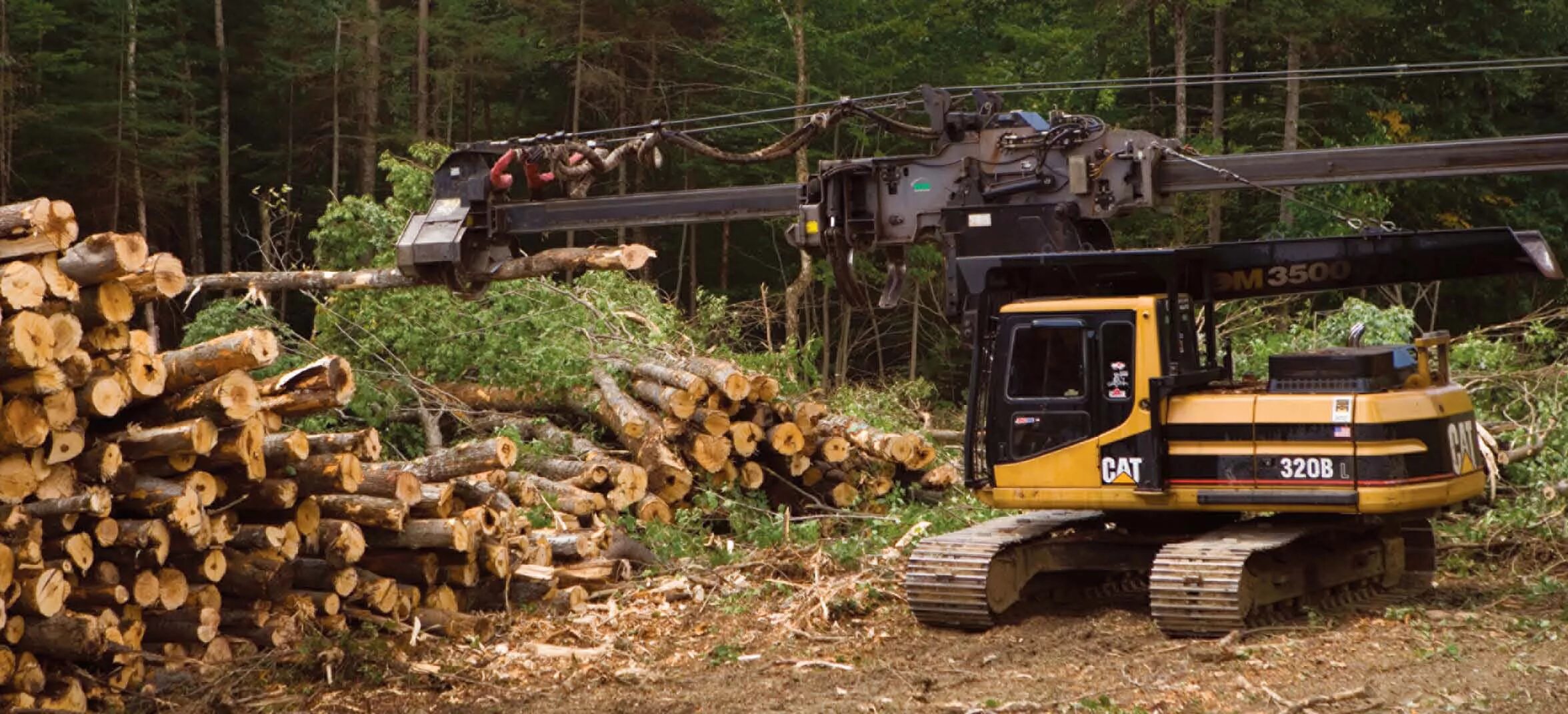 Bin logging