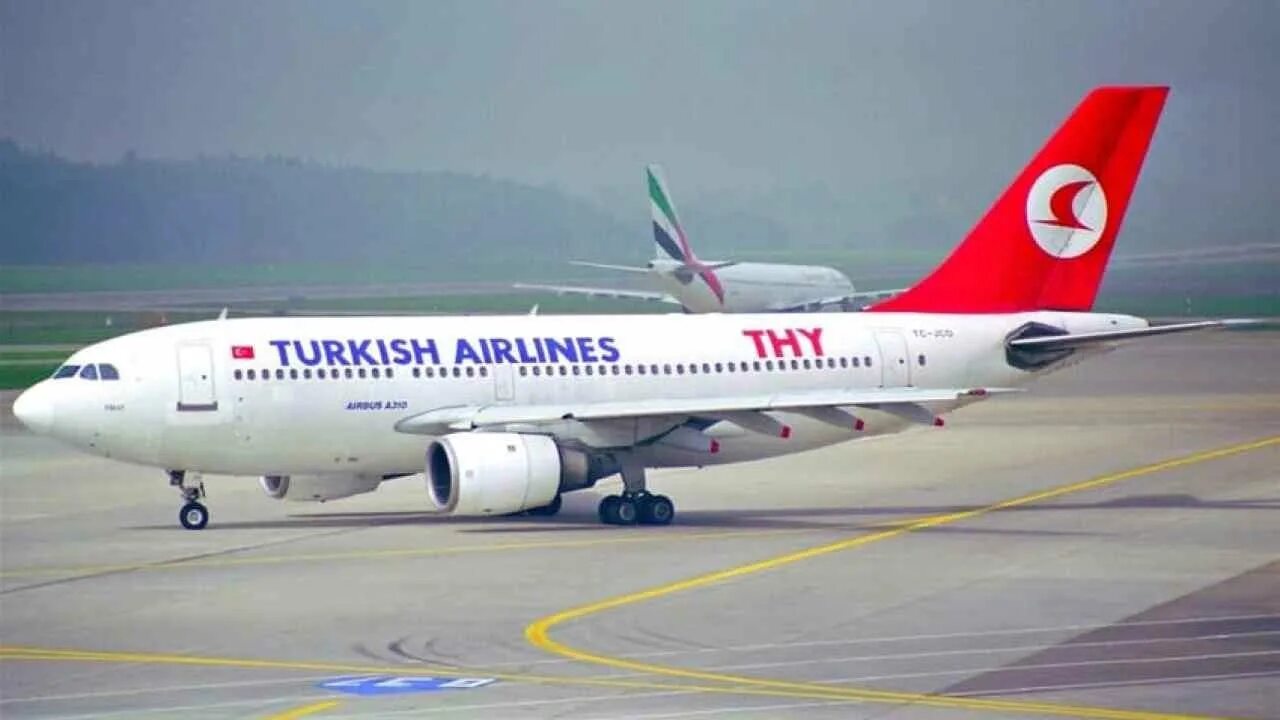 Turkish Airlines - Istanbul to Cairo Turkey to Egypt Flight - YouTube