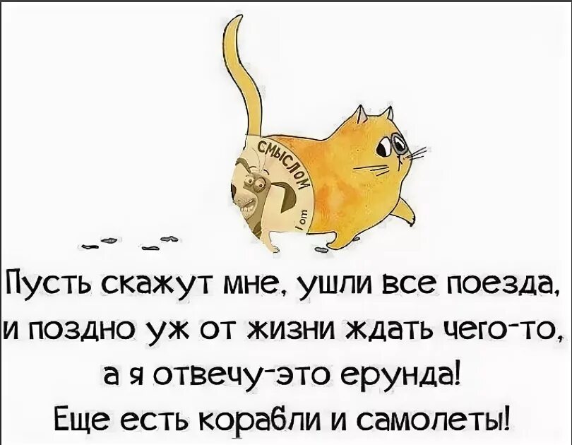 Жизнь несмотря ни на что