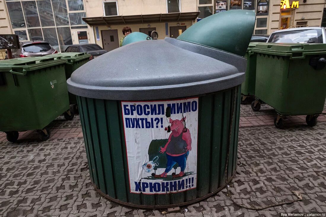 Хрюшка из помойного ведра