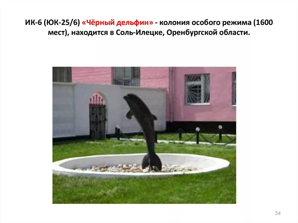 соль илецк дельфин тюрьма. фонтанчик с черным дельфином соль илецк. соль-илецк тюрьма черный дельфин. фонтанчик с черным дельфином соль илецк. фантанчик с чёрным дельфином.
