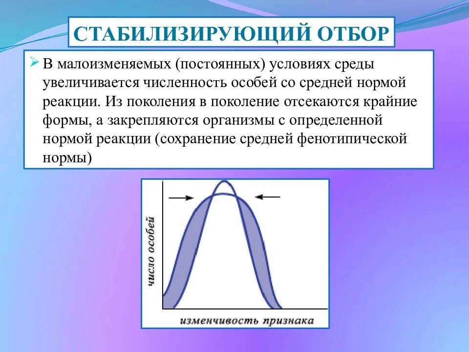 Стабилизирующий отбор норма реакции. Схема действия стабилизирующего отбора. Движущая форма отбора норма реакции. Дизруптивный отбор норма реакции.