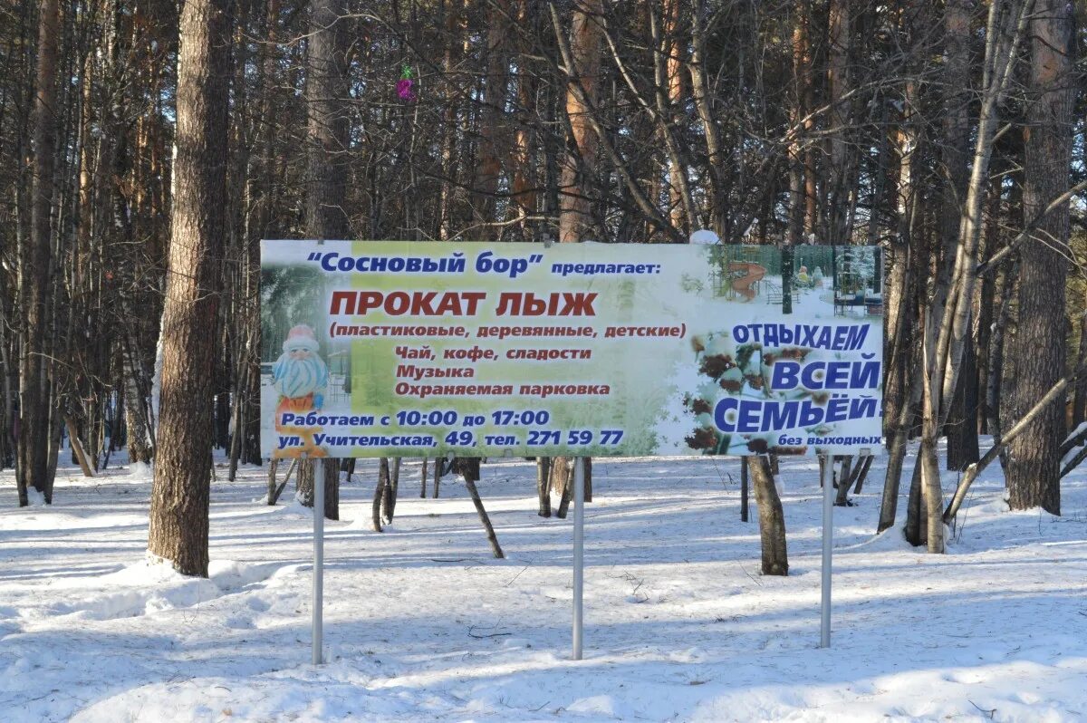 Сосновый бор (парк, новосибирск). Веломаршрут сосновый бор шлиссельбург. Доска объявлений сосна. Продаётся участок в сосновом. Грин дача малаховка.