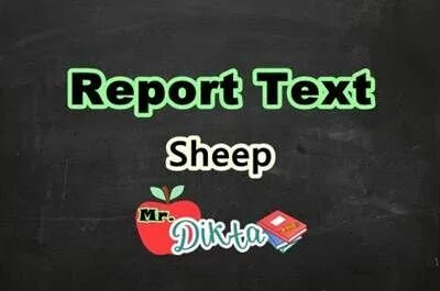 Text reports