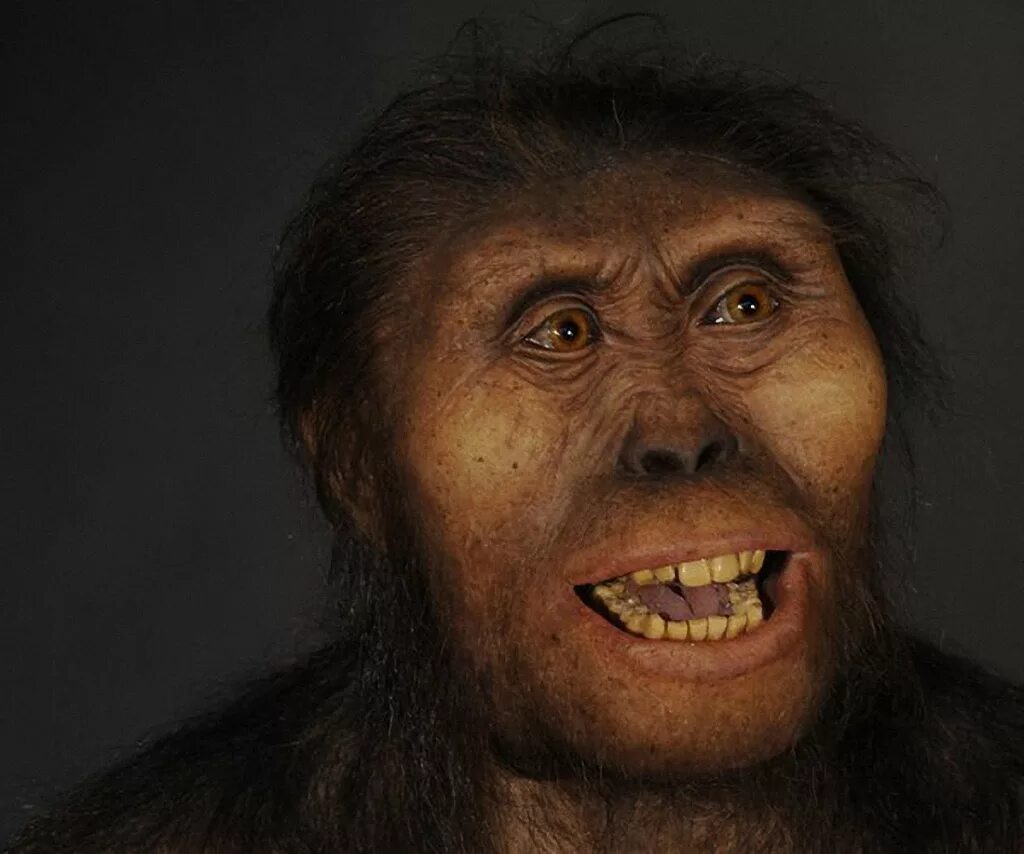 Человек 1 млн лет назад. Австралопитек афарский. Australopithecus Afarensis (австралопитек афарский). Австралопитек питекантроп неандерталец.