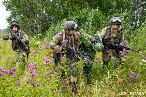 Курск дрг сегодня