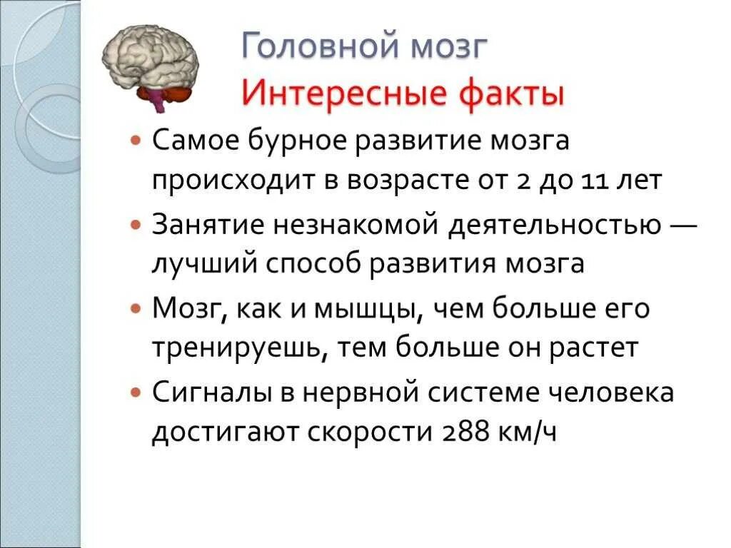 Факты про мозги. Факты о мозге человека 3 класс. Интересные факты о головном мозге человека 3 класс окружающий. Интересные факты о мозге. Интересные факты о человеке.