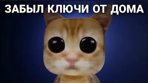 Эль гато мем