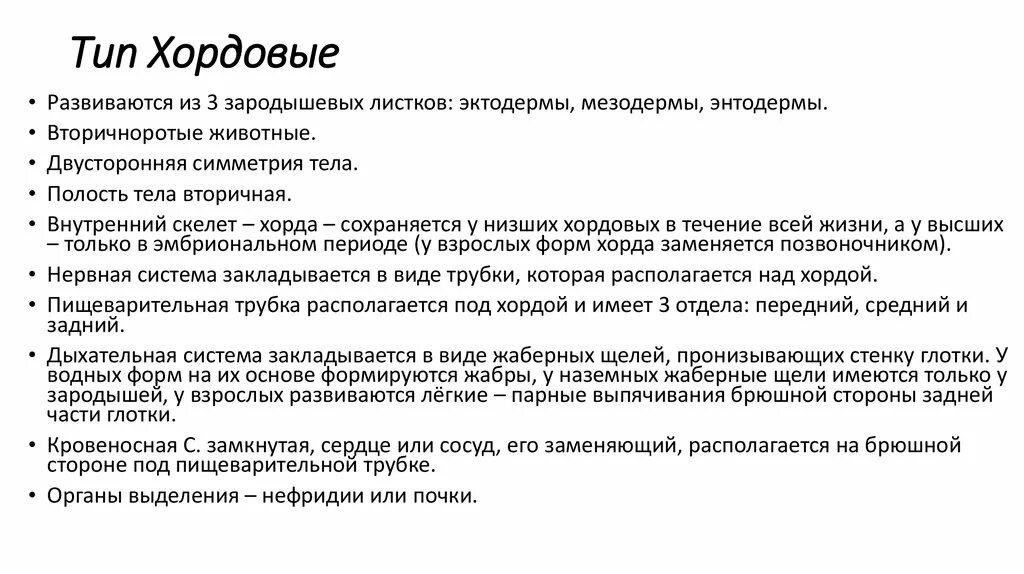Тип хордовые краткий пересказ. Тип хордовые краткий пересказ