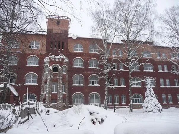 Вологодская государственная молочнохозяйственная академия. Вгмха верещагина вологда. Вологодская молочнохозяйственная академия. Вгмха вологодская молочная академия. Вологодская молочнохозяйственная академия.