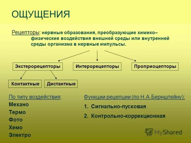 Ощущение указать. Ощущение это в психологии. ощущение это в психологии определение. природа ощущения. понятие ощущения в психологии.