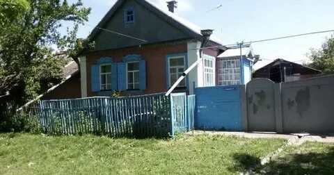 Петсити большая боргустанская ул 20