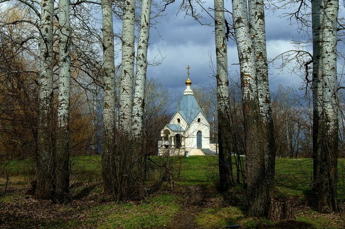 Православный храм и Березовая роща. Церковь в березовой роще Воронеж. Церковь на березовой роще Новосибирск. Часовня деревня Березки. Березовый храм