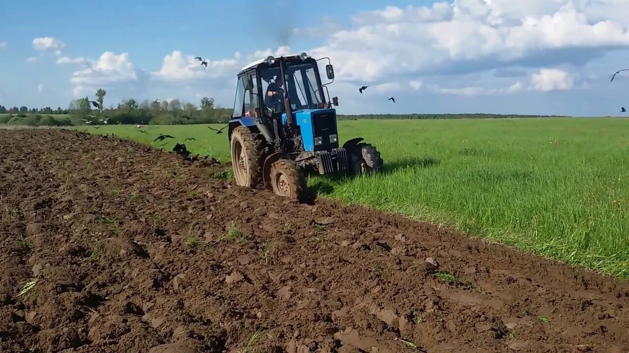 Вспашка огорода трактором МТЗ 82. Вспашка целины трактором МТЗ 80. Вспашка целины МТЗ 82. Культивация почвы трактором МТЗ 82.