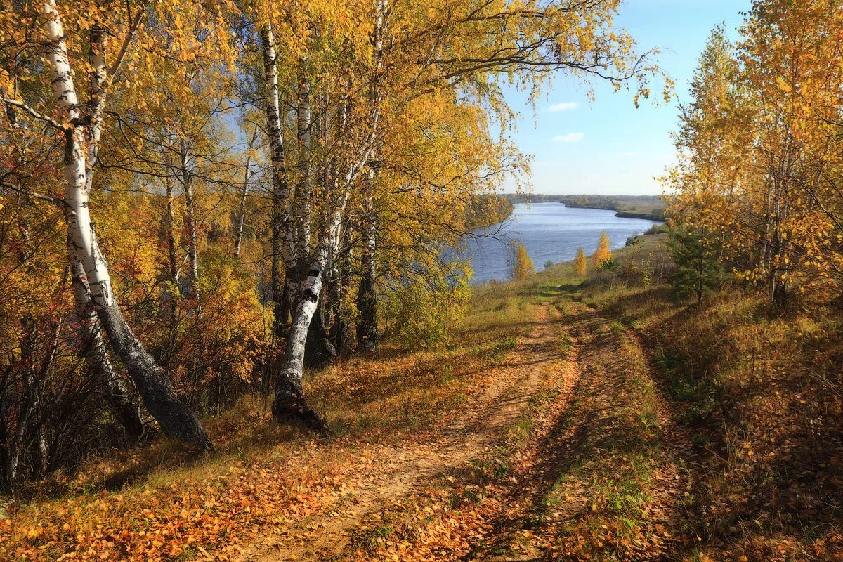 Осенний пейзаж. Осень в России. Русская природа осенью. Красота русской природы. Октябрь в разгаре