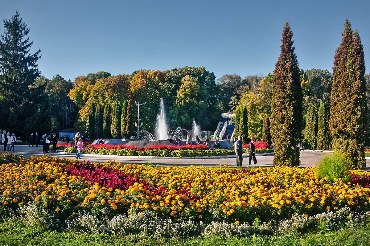 Парк Белоусова Тула. Центральный парк Тула. Центральный парк имени Белоусова Тула. ЦПКИО Белоусова Тула.