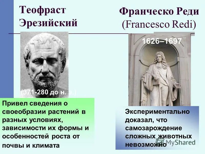 Теофраст вклад в биологию кратко. Теофраст отец ботаники. теофраст эрезийский (371 - 280 до н.э.),. теофраст вклад в экологию. теофраст эрезийский вклад в экологию.