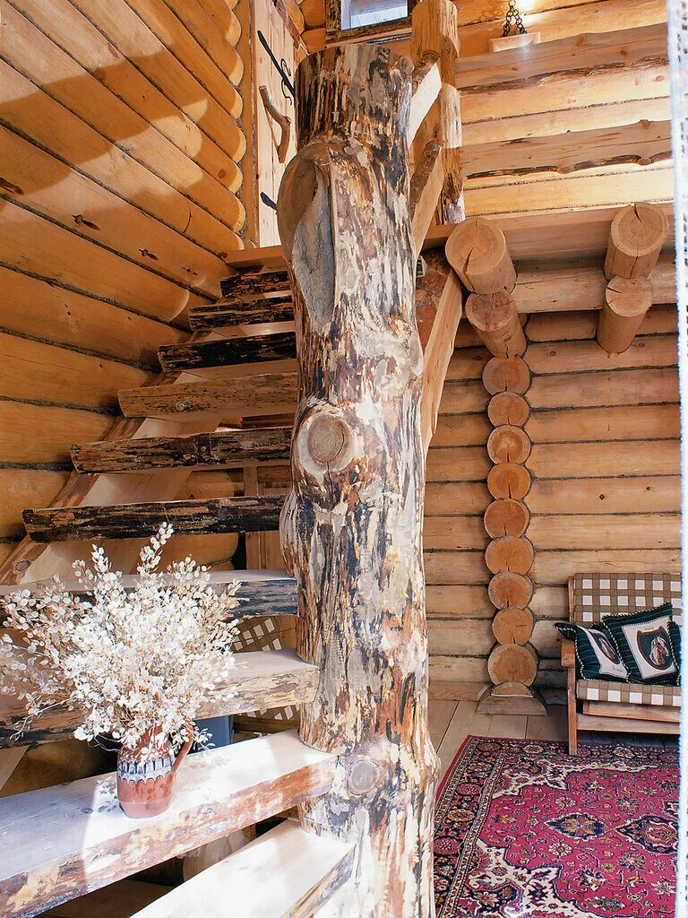 баня ломоносов. сауна в ломоносове.