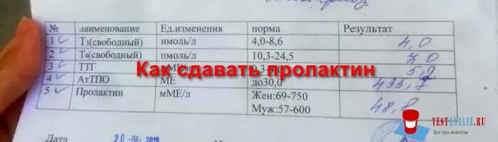 Пролактин норма. Норма пролактина у женщин в крови. Сдать кровь на пролактин подготовка. Кал на пролактин.