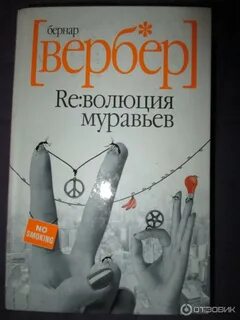 Вербер муравьи