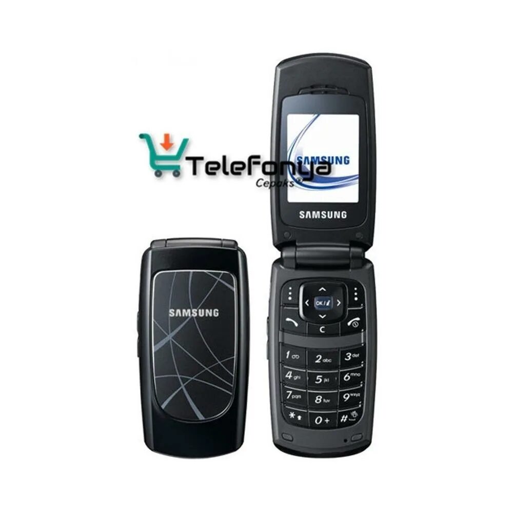 Телефона samsung sgh. Самсунг SGH-x210. Samsung SGH-x100. Samsung SGH раскладушка. Мобильный Samsung SGH-c270, раскладушка.