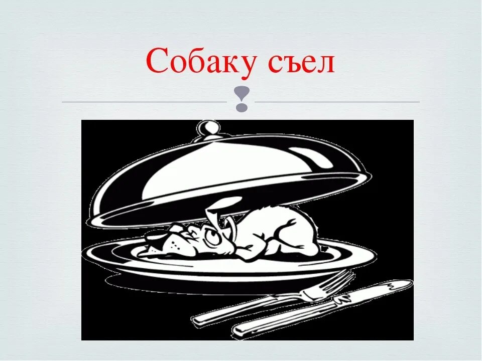 Пословица собаку съел