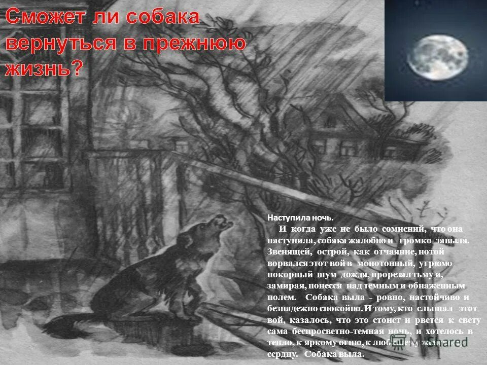 Звенящей острой как отчаяние нотой ворвался. Звенящей острой как отчаяние нотой ворвался