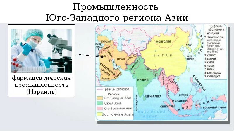 Страны юго западной азии различия таблица. Юго-Восточная Азия география 7 класс. Регионы Азии Юго-Западная Восточная и Центральная Азия. Юго-Западная Азия география 7 класс. Отрасли промышленности Юго Западной Азии.