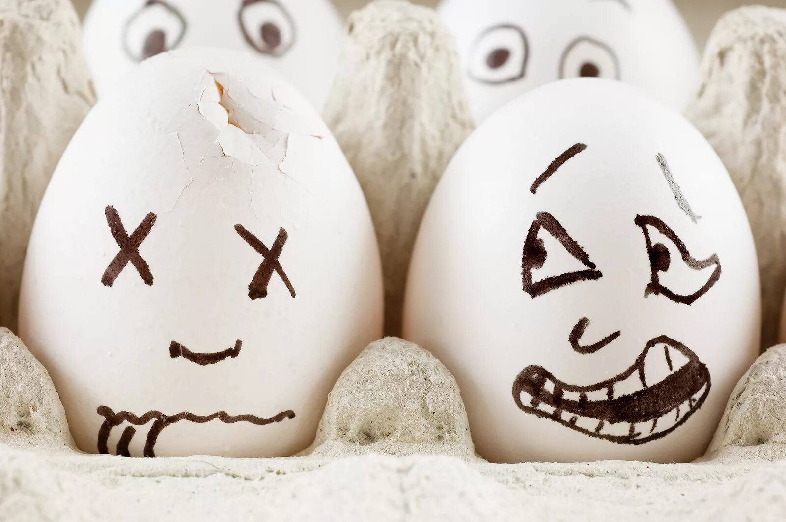 It is the egg