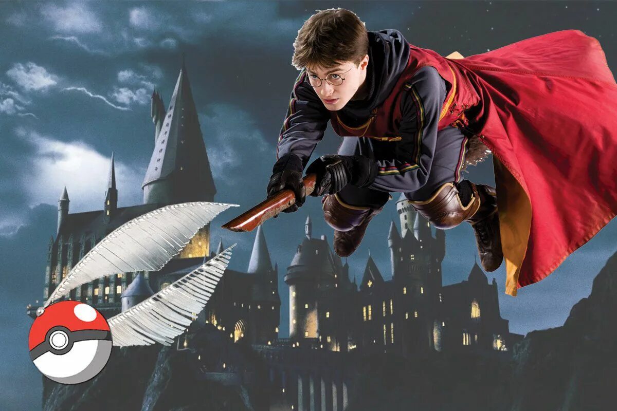 Harry potter go