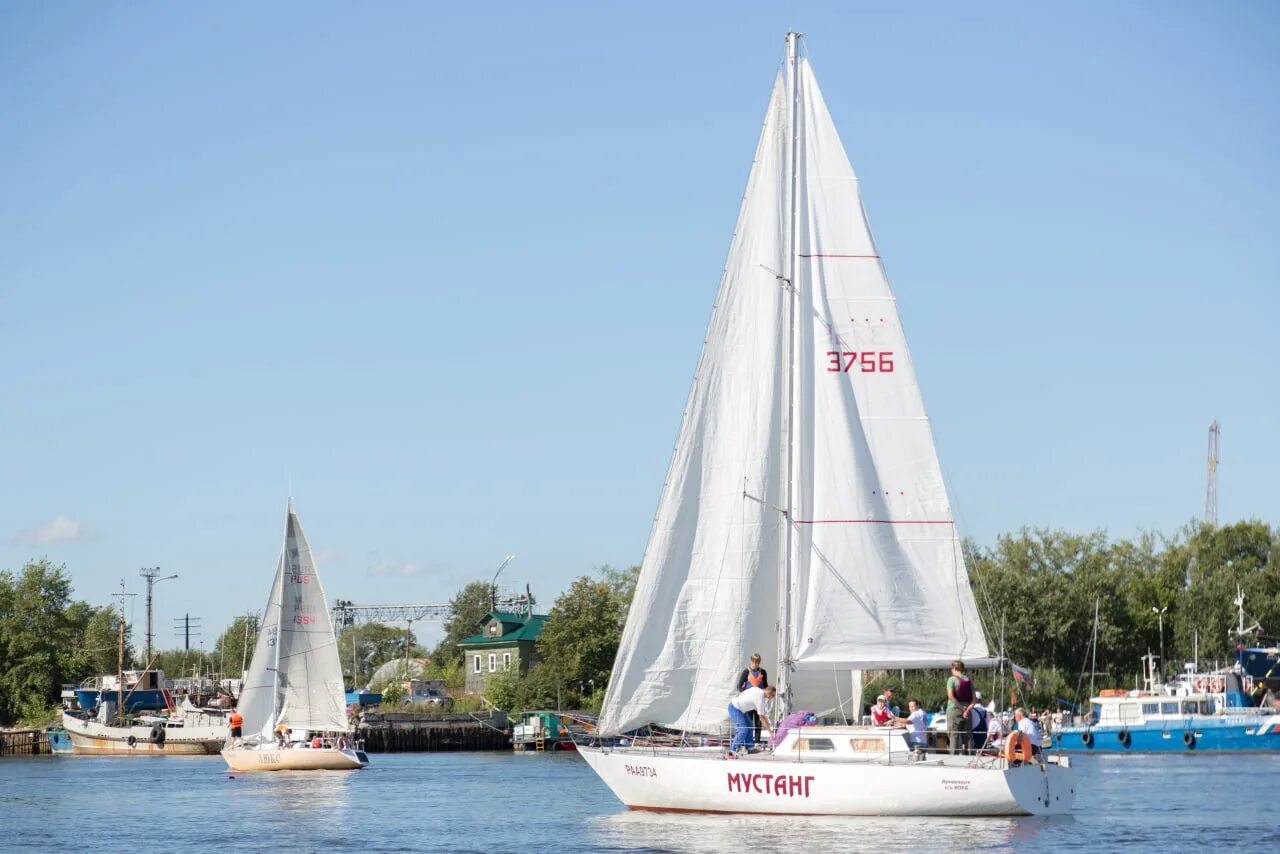 яхтенная регата. парусная регата саратов. парусный спорт регата. соловецкая регата 2010. крутой яхтсмен.