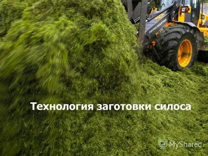Заготовка технология