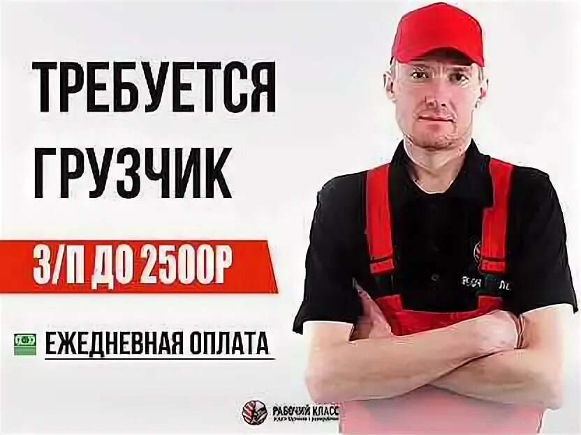 Грузчики питер. Требуется грузчик ежедневная оплата. Требуется грузчик ежедневная оплата. Все грузчики питер. Работа в санкт-петербурге грузчик.