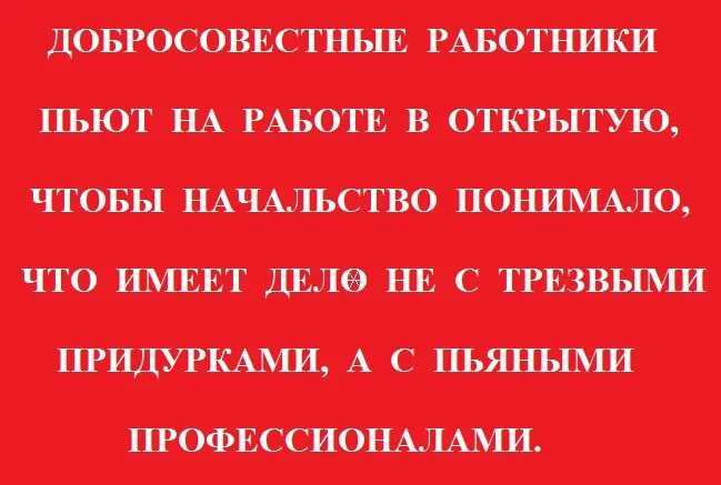 Пить на работе. Бухать на работе. Добросовестные сотрудники должны пить на работе в открытую. Добросовестные работники пьют. Пить нужно регулярно