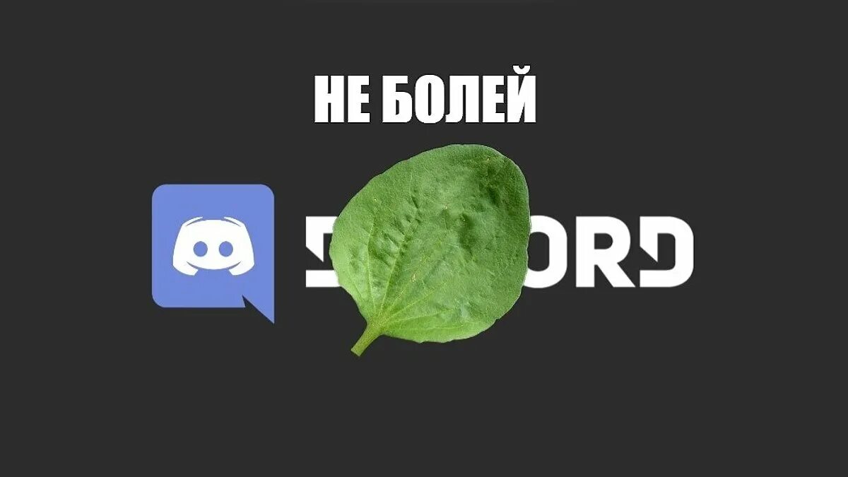 Мемы для discord. Дискорд Мем. Дискорд подорожник. Мемы про Дискорд приложение. Звуковые мемы для дискорда