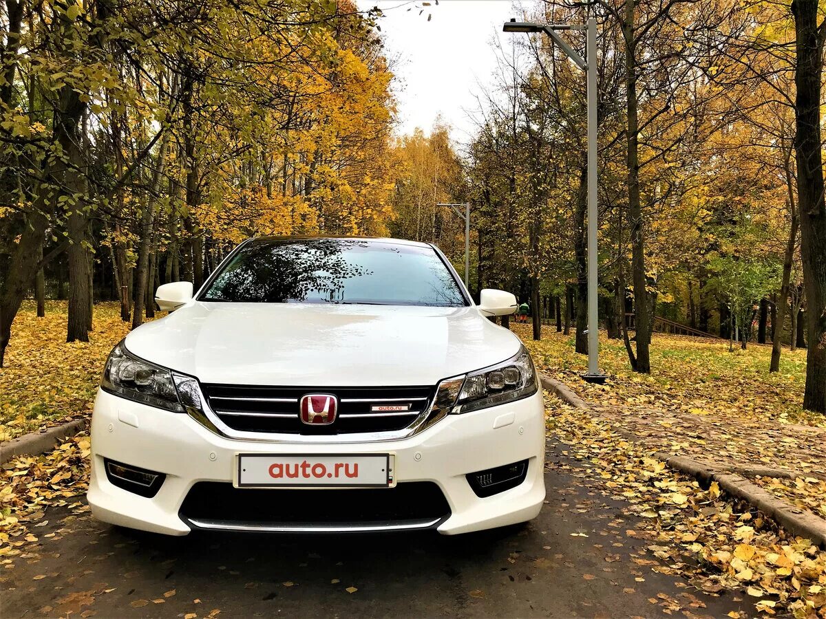 Аккорд 9 купить. Хонда Аккорд 9. Honda Accord IX 2013. Хонда Аккорд 9 белый. Honda Accord 9 2.4.