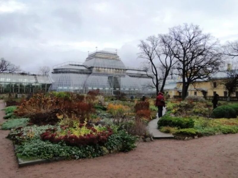 ботанический сад петра великого в санкт-петербурге. ботанический сад петра великого в санкт-петербурге. ботанический скд петра великого. профессор ботанического сада. ботанический сад (ул.