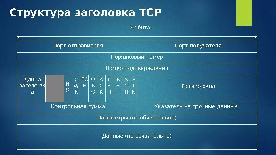 Протокол tcp структура пакета. Формат заголовка tcp сегмента. Формат пакета tcp. Структура заголовка udp пакета. Какова структура пакета tcp.