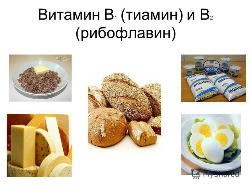 Фолиевая кислота тиамин