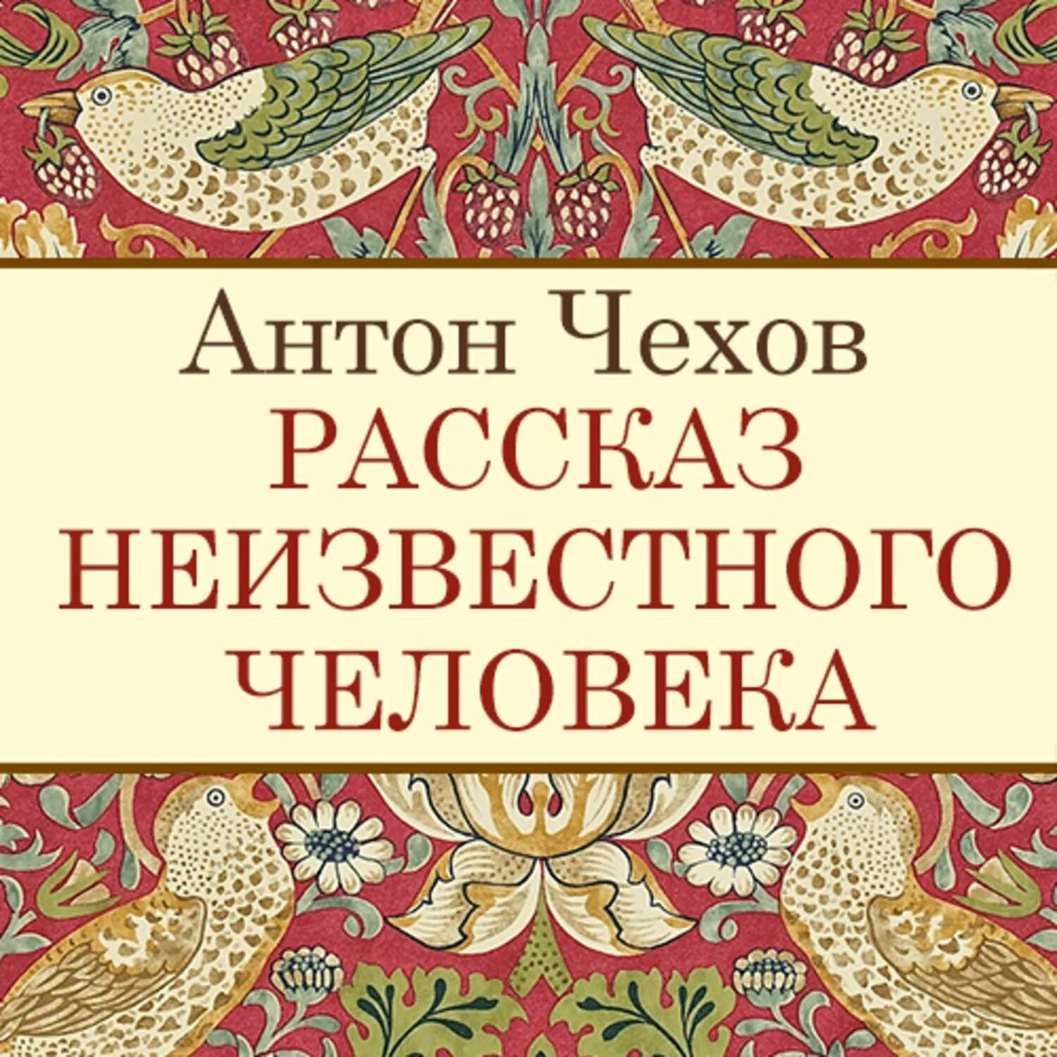 Рассказы чехов рутуб. Рассказ неизвестного человека. рассказ неизвестного человека чехов. рассказ чехова рассказ неизвестного человека. рассказ неизвестного человека книга.