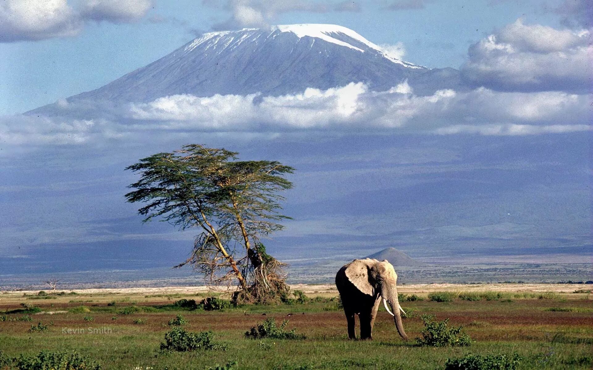 Каково место африки в мире. Танзания сафари Килиманджаро. Гора в Кении Килиманджаро. Танзания вулкан Килиманджаро. Гора Килиманджаро в Танзании, Африка.