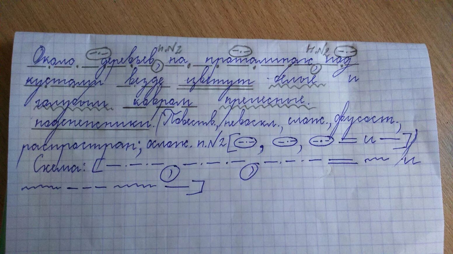 Синтаксический разбор предложения. Около проруби сидят белые голуби разбор предложения.