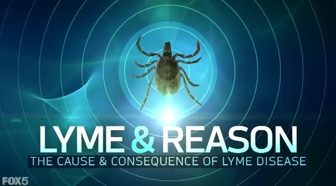 Commander Lyme. Lyme City.