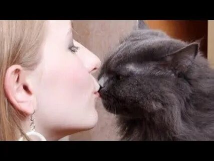 Kiss cat 18