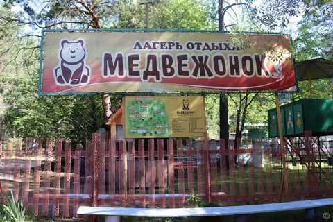 Лагерь медвежонок